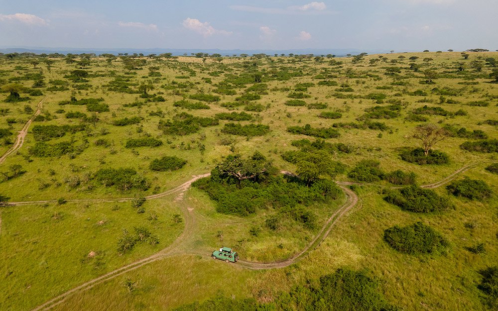 Tourists on a game drive in Queen Elizabeth National Park following the various tracks
