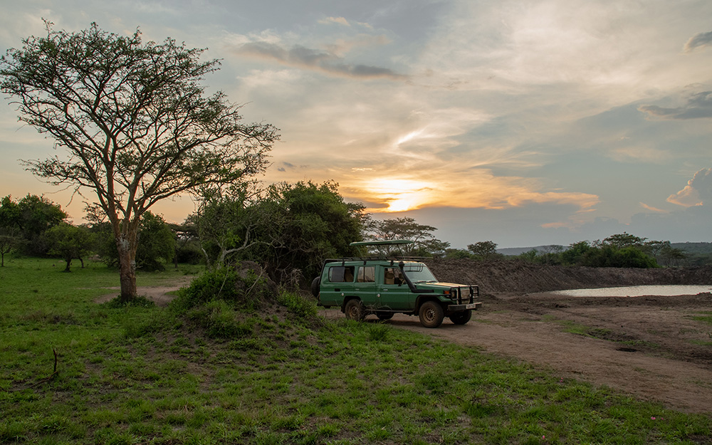Tourists on a game drive in lake mburo national park