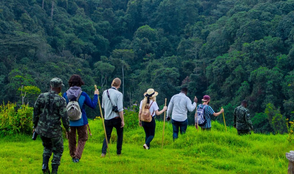 Tourists on a nature walk in Gishwati Mukura