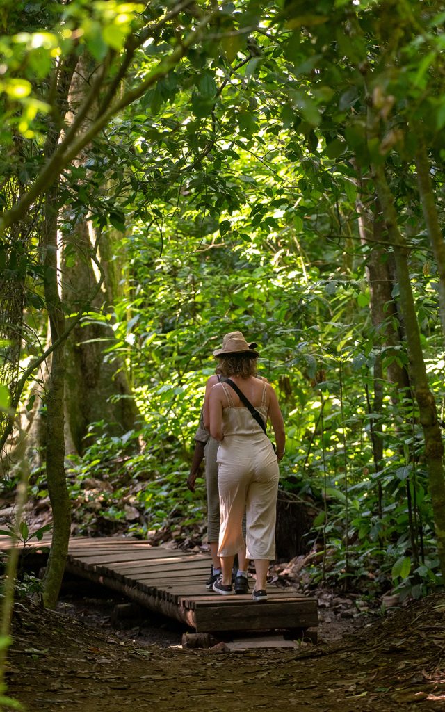 Tourists on a nature walk in Semuliki National Park