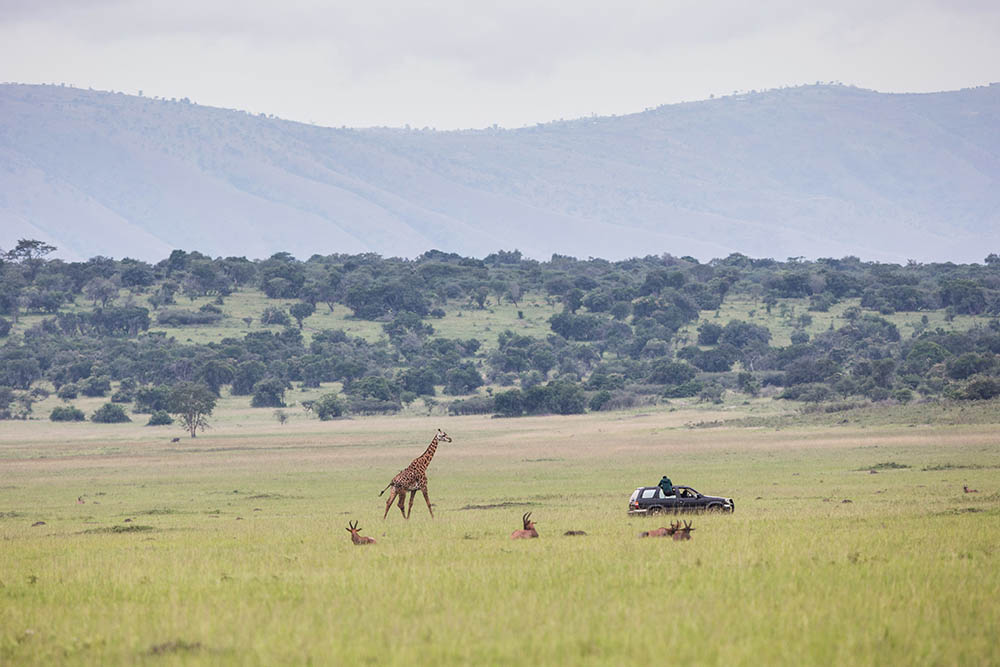 Tourists on a safari in Akagera National Park 