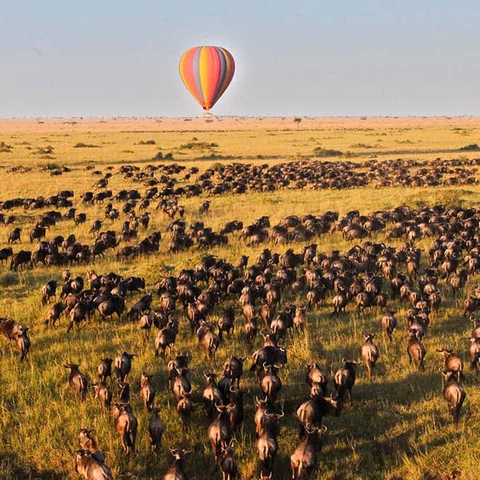 Tourists viewing the great wildebeest migration on a hot air balloon safari.