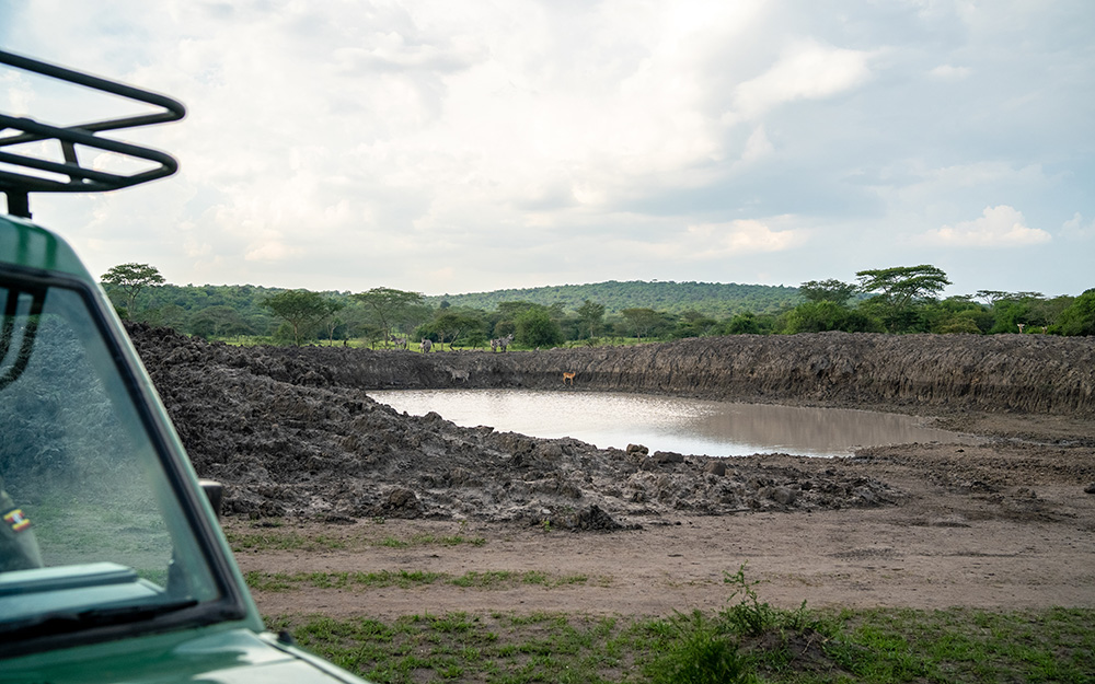 Tourists viewing wildlife at a waterhole in lake mburo national park