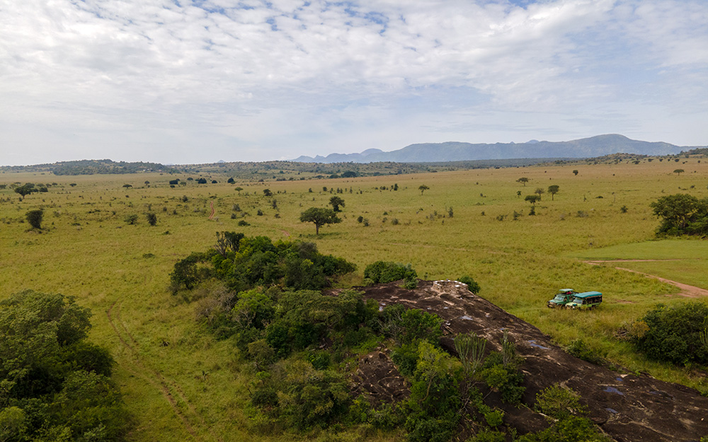 Tourists watching lions in Kidepo Valley National Park