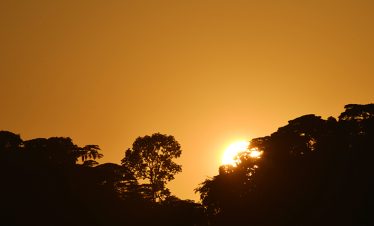 Uganda Sunrise