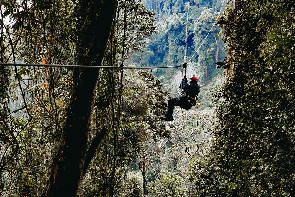 Zipline in Nyungwe forest