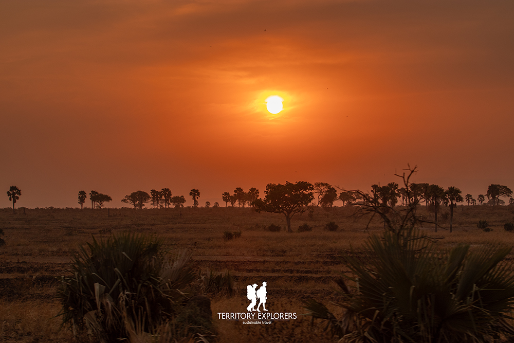Murchison Falls Landscape 