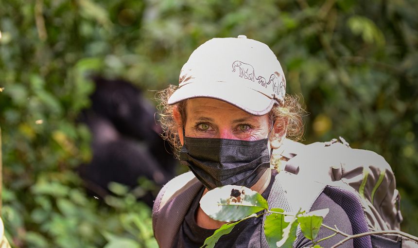 Gorilla Habituation Experience