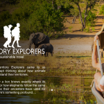 THe Why Behind Our Business Name